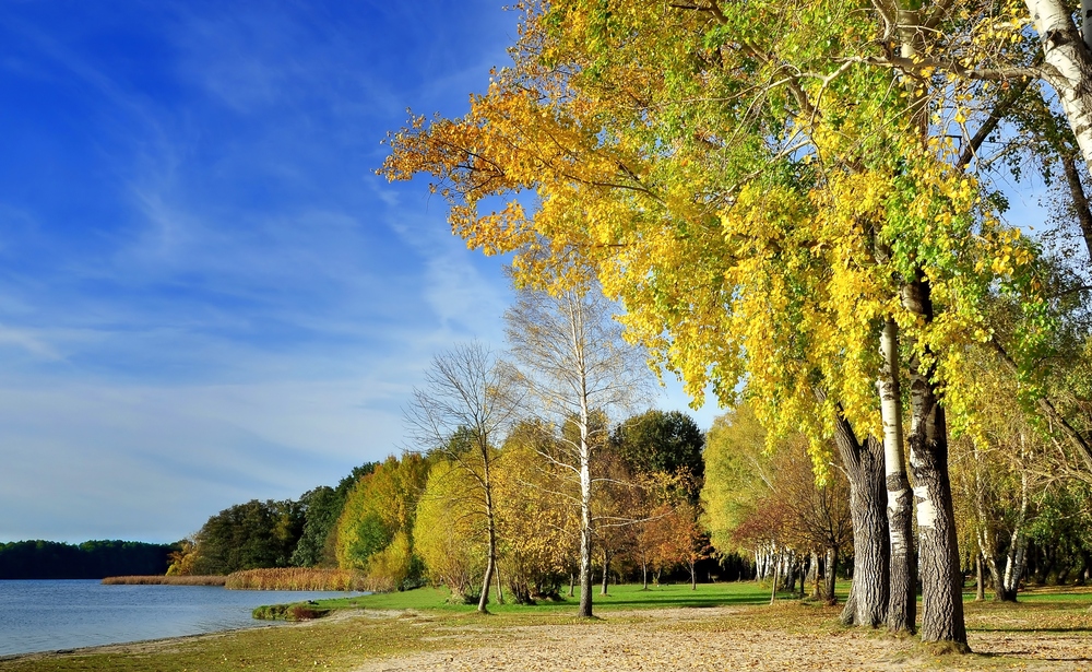 Herbst im Strandbad Rangsdorf.......