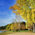 Herbst im Strandbad Rangsdorf.......