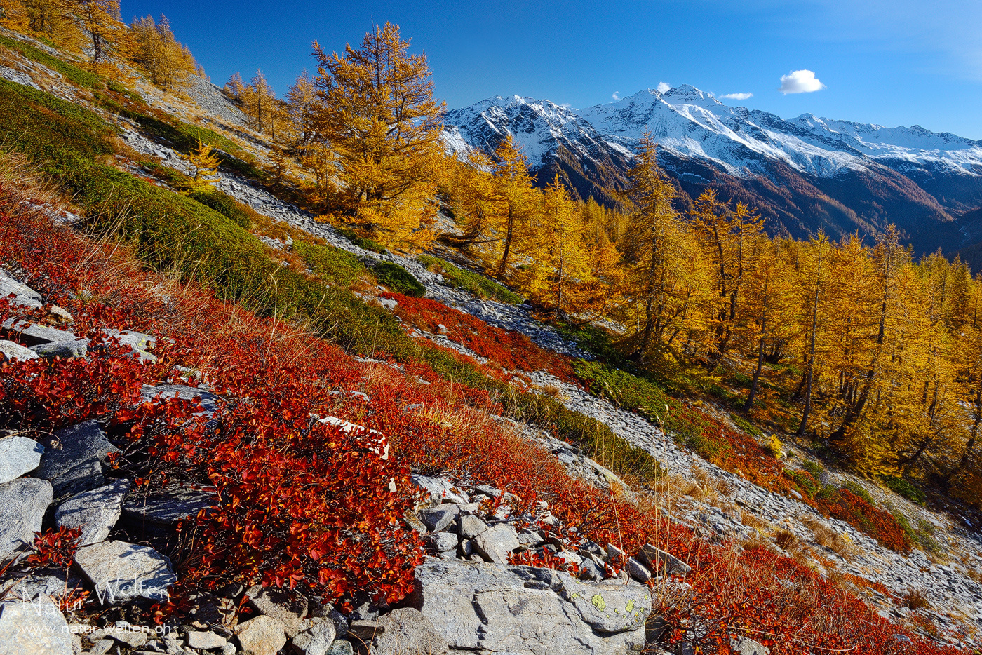 Herbst im Streiflicht