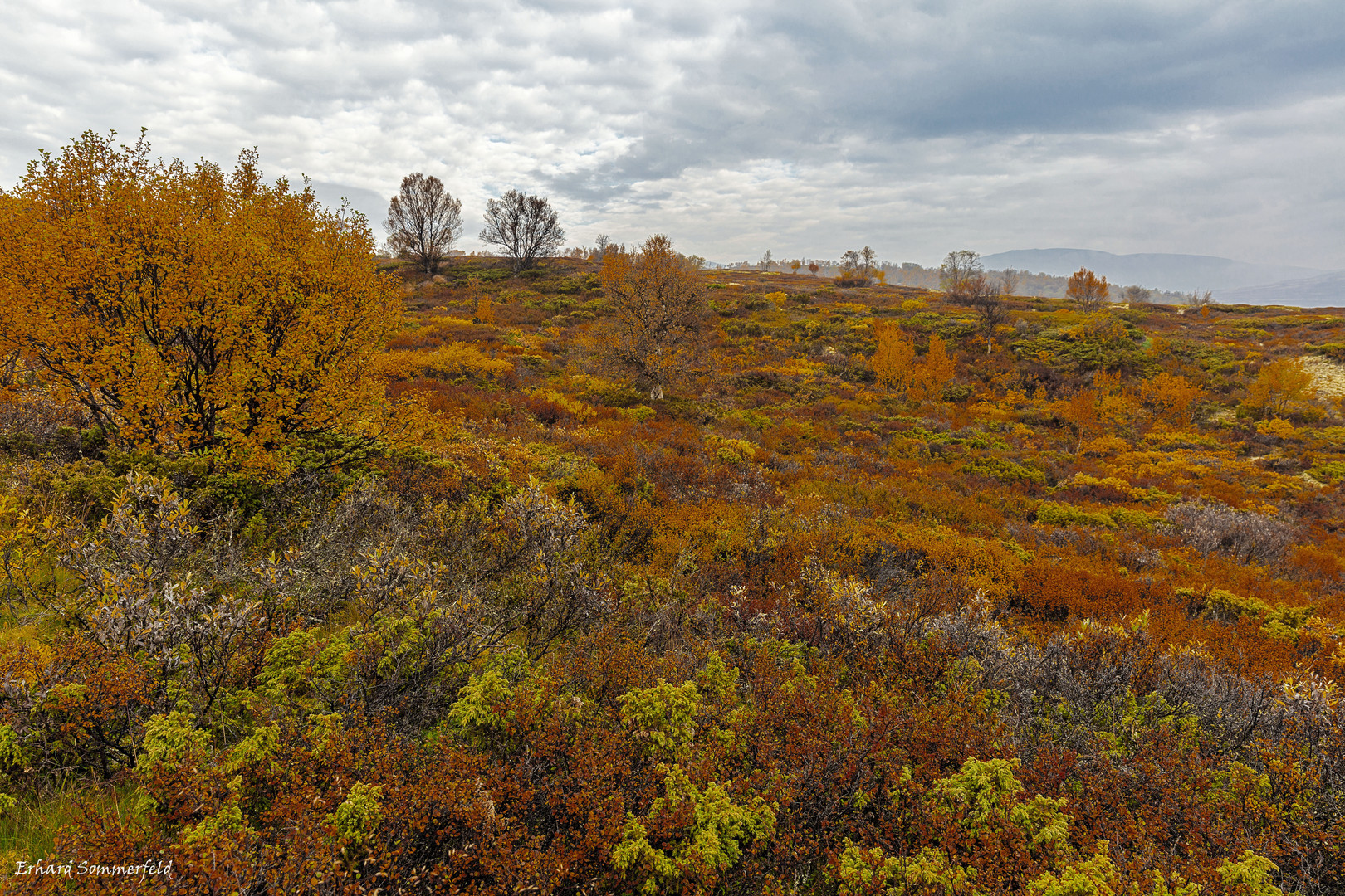 Herbst im Stroplsjödalen