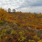 Herbst im Stroplsjödalen