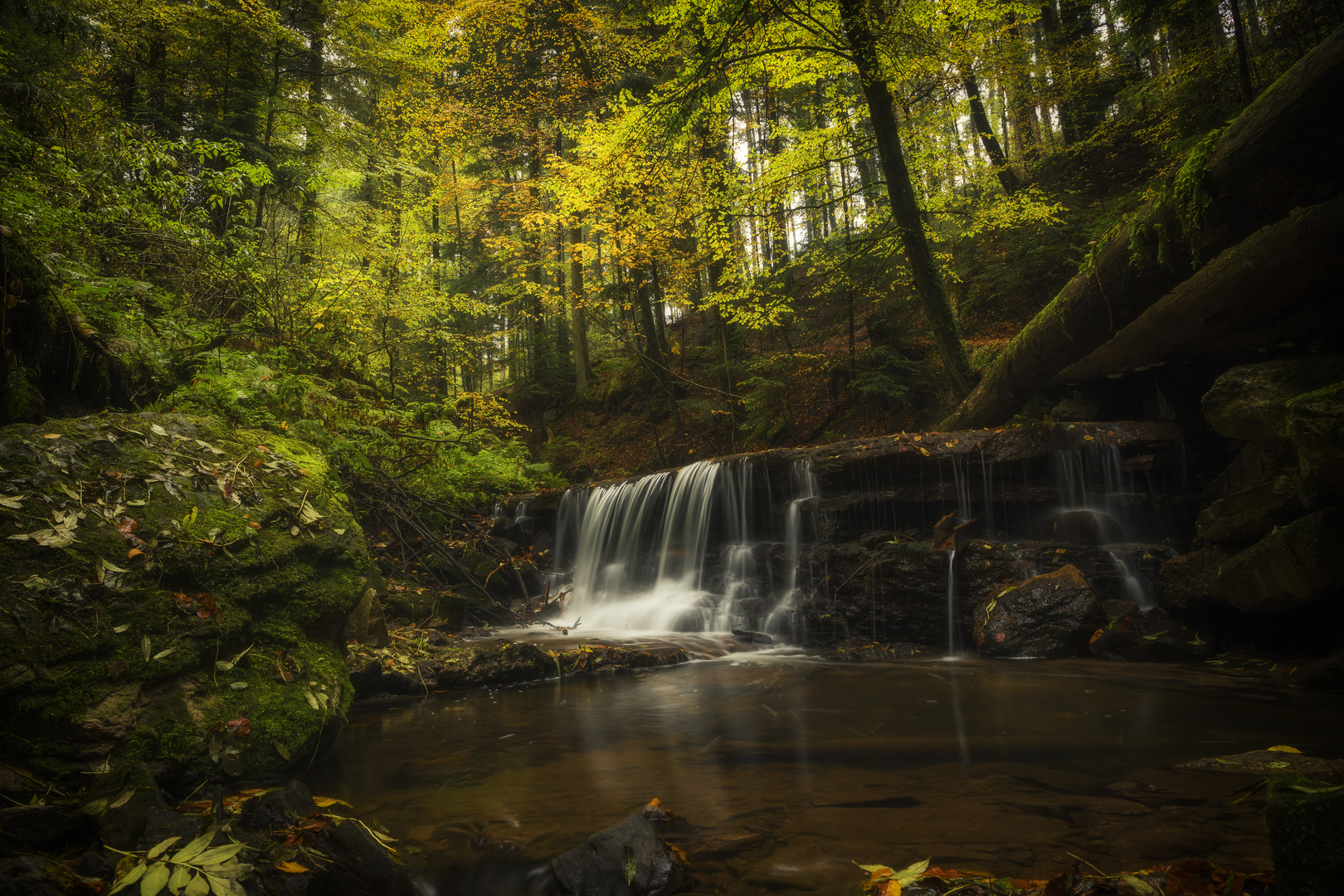 Herbst im Strümpelbachtal