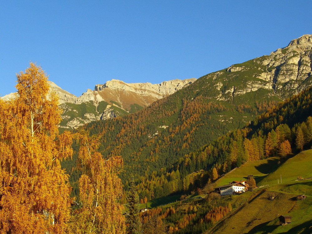 Herbst im Stubaital Bild2