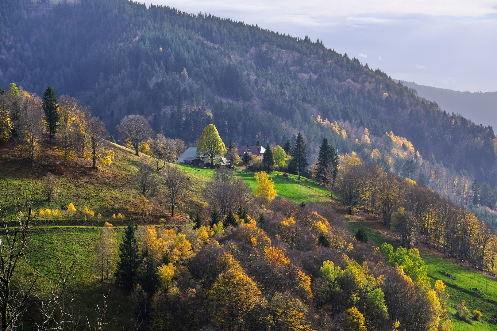 Herbst im südlichen Schwarzwald