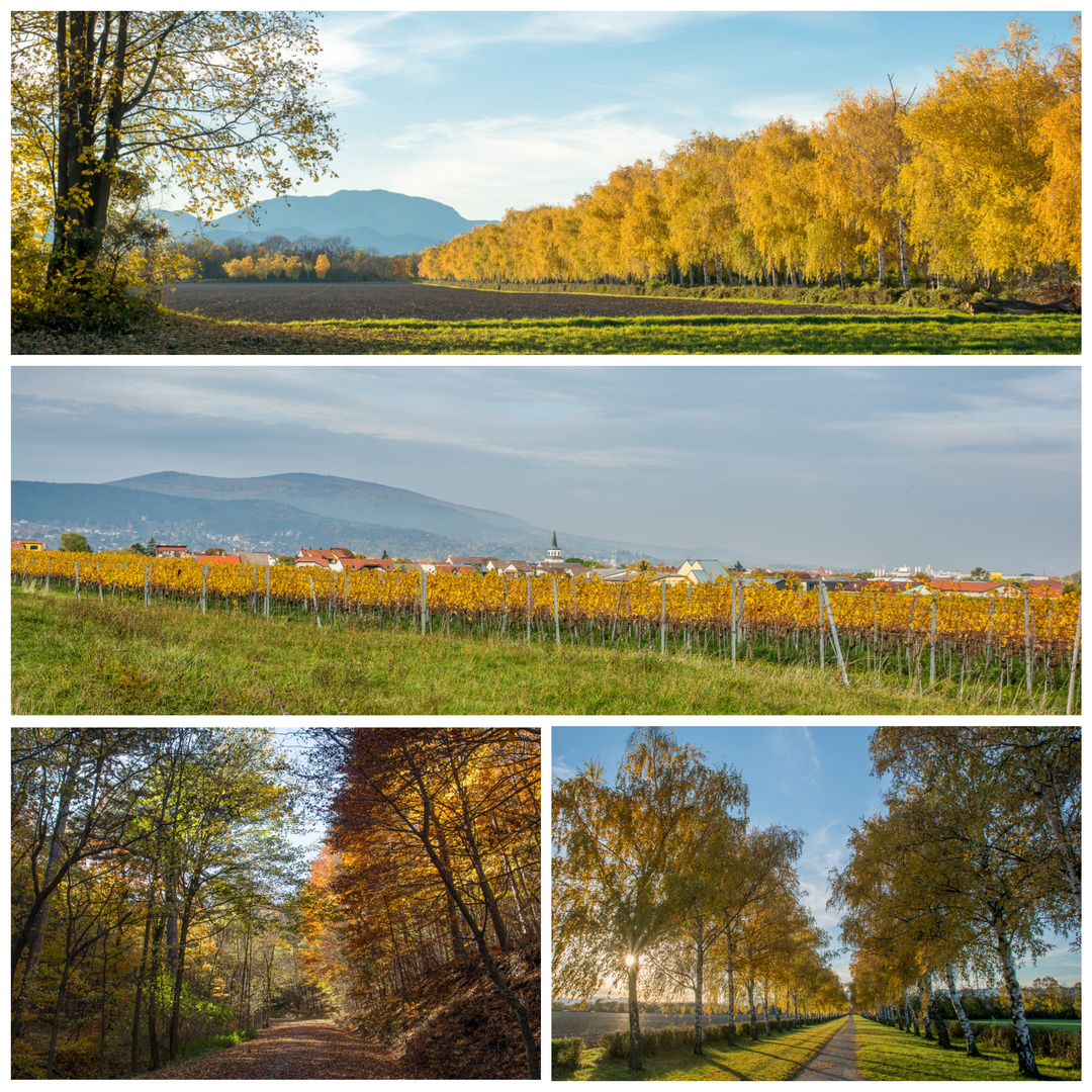 Herbst im südl.NÖ