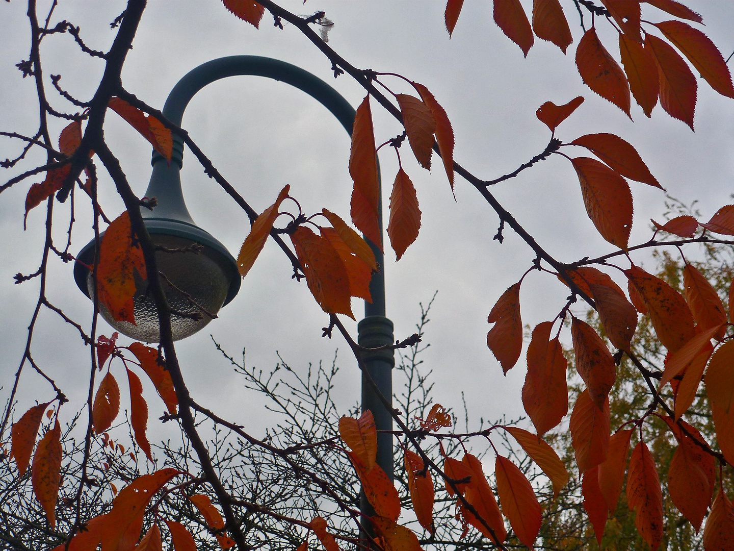 Herbst im Südpark Düsseldorf