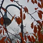 Herbst im Südpark Düsseldorf