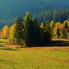 Herbst im Südschwarzwald.