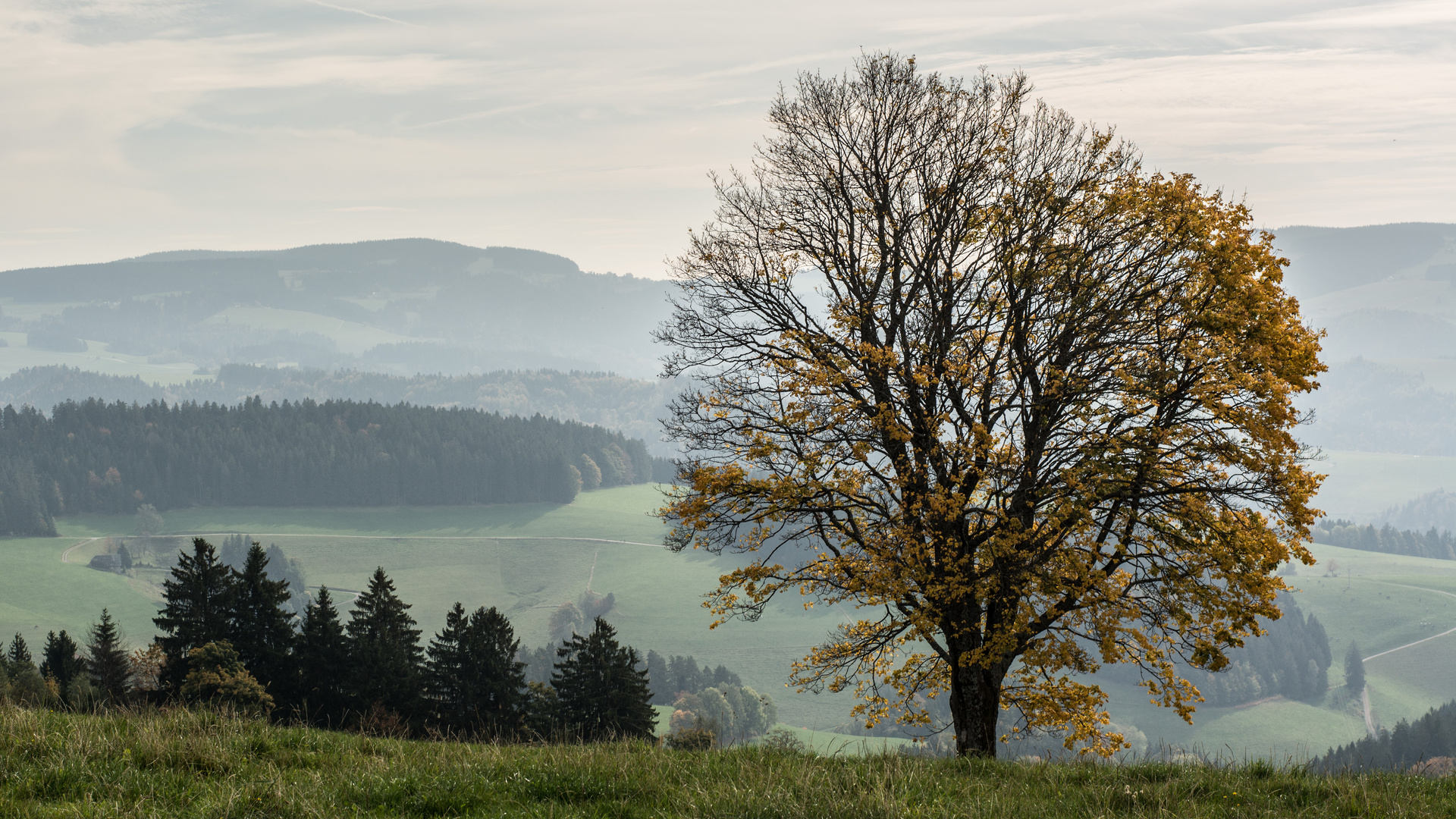 Herbst im Südschwarzwald