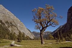 Herbst im Tal