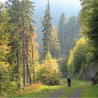 Herbst im Tal