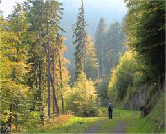 Herbst im Tal