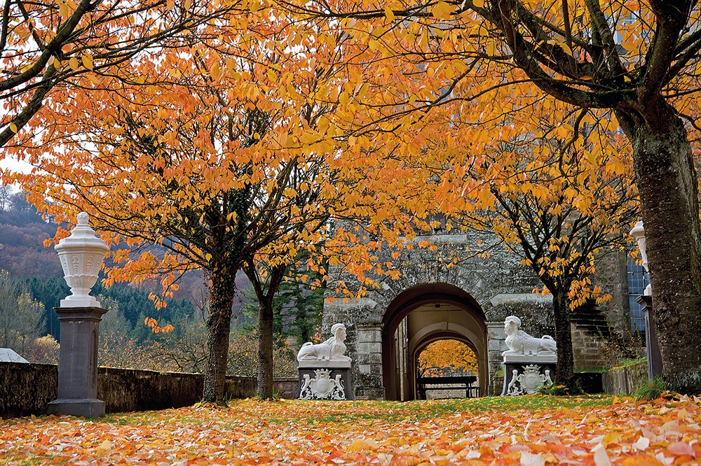 Herbst im Tal der 7 Schlösser