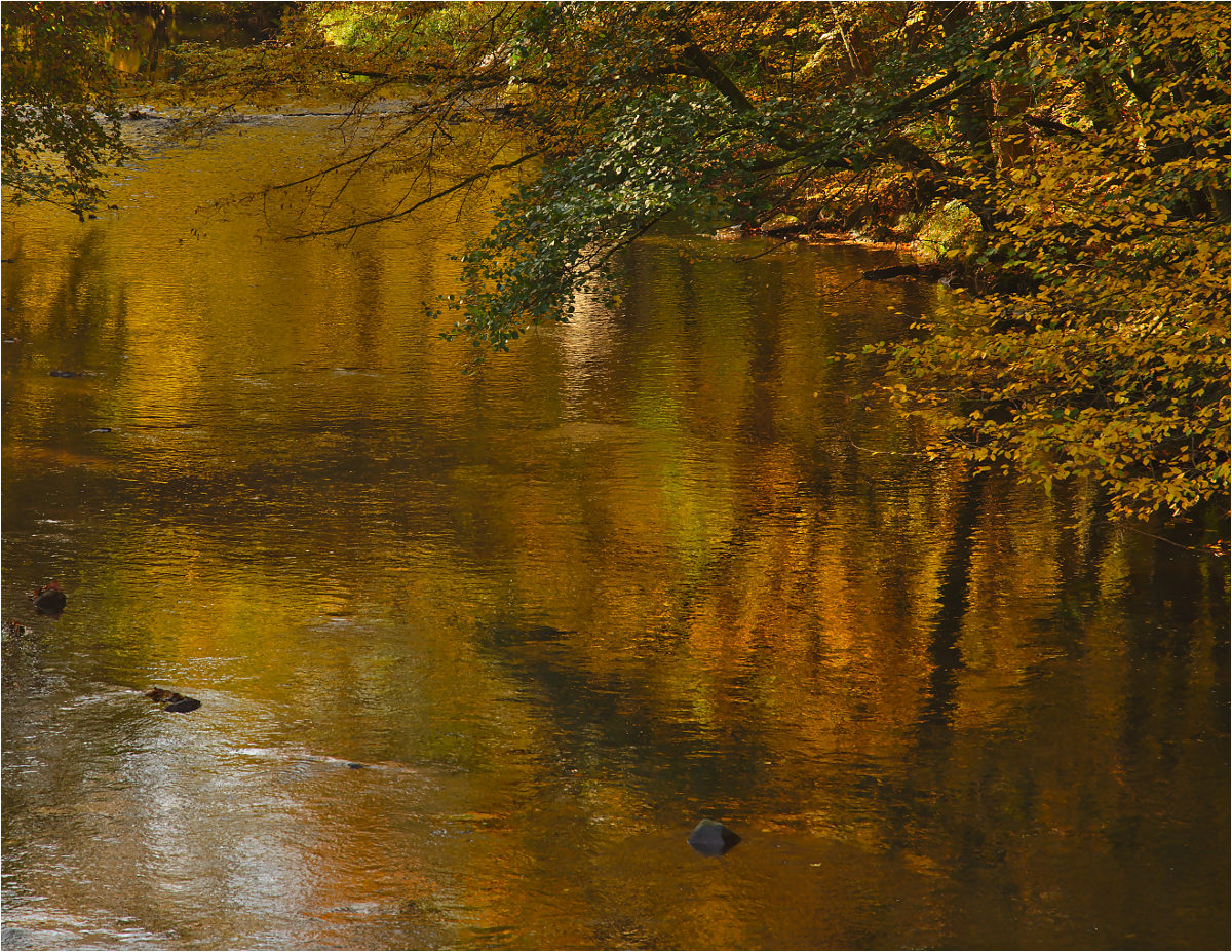 Herbst im Tal der Nister