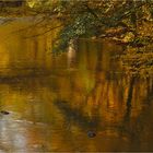 Herbst im Tal der Nister