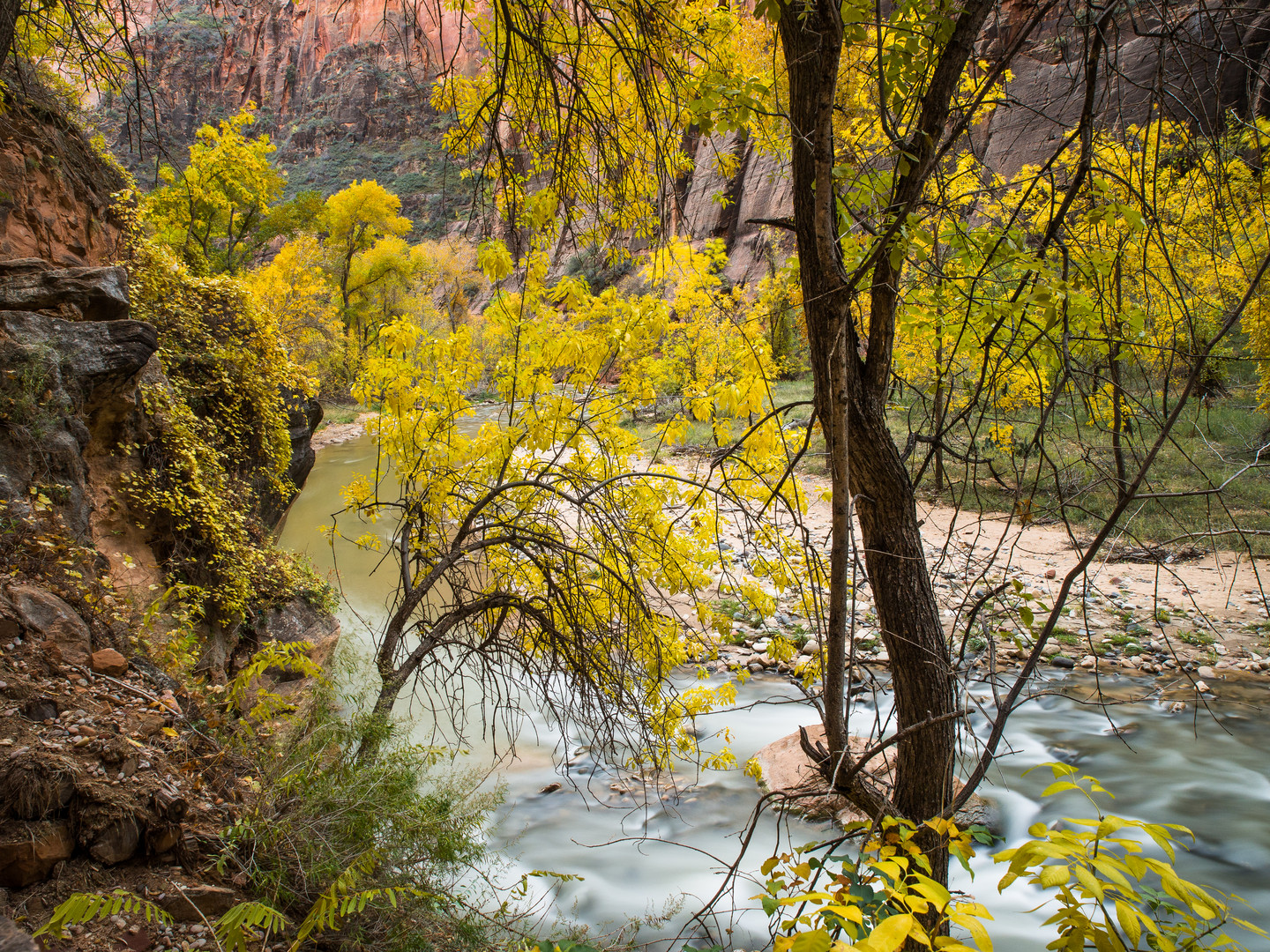 Herbst im Tal des Virgin Rivers