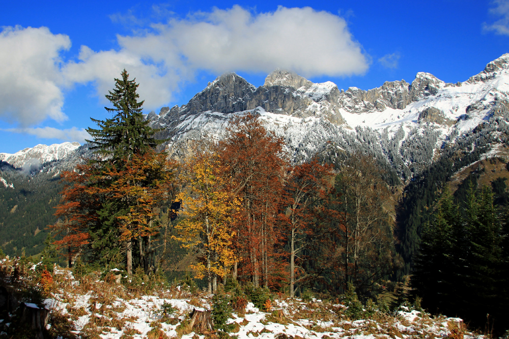 Herbst im Tannheimer Tal!