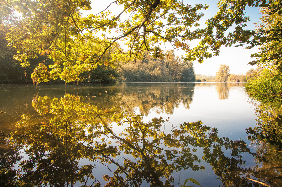 Herbst im Taubergießen.....