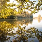 Herbst im Taubergießen.....