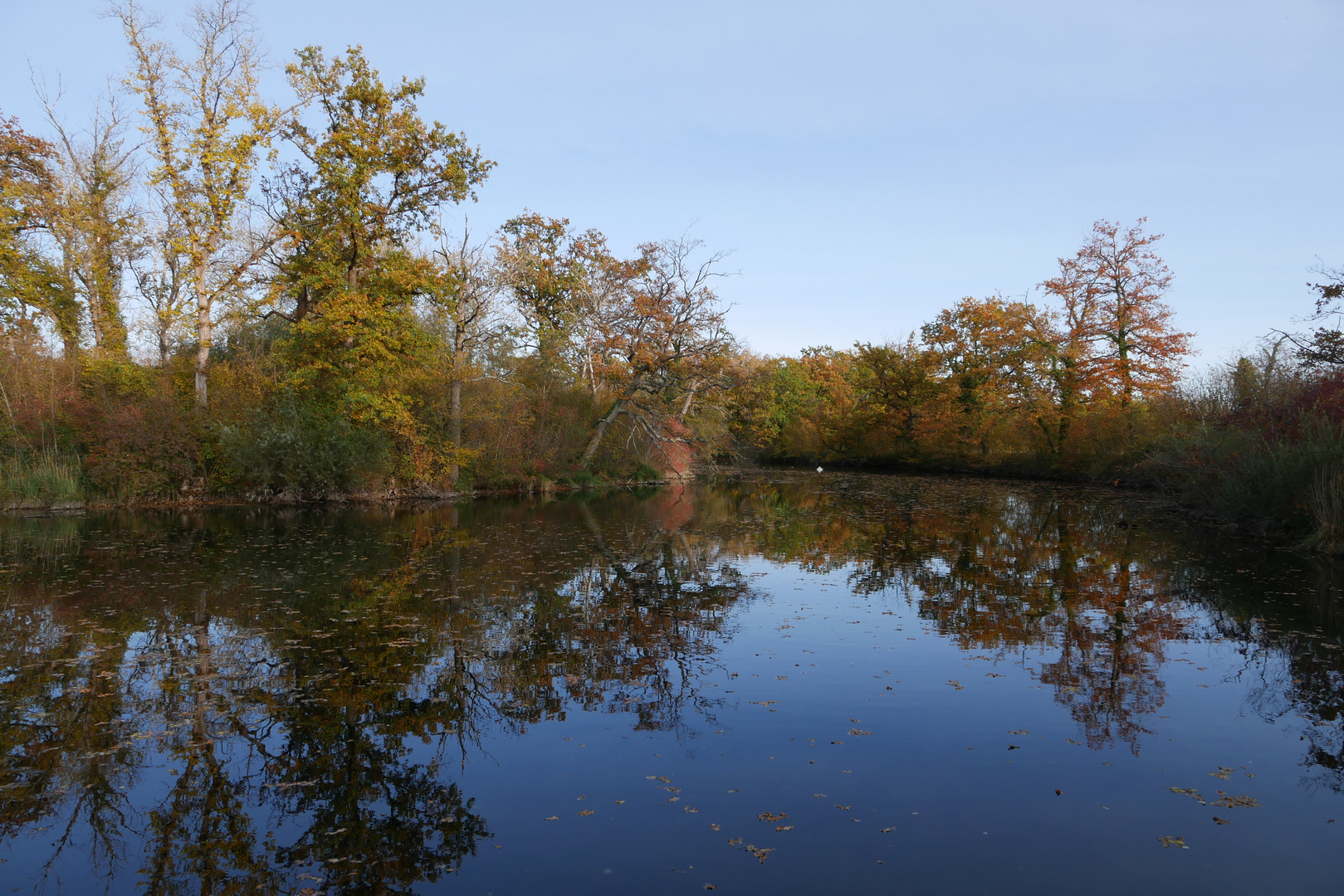 Herbst im Taubergießen - Blaues Loch