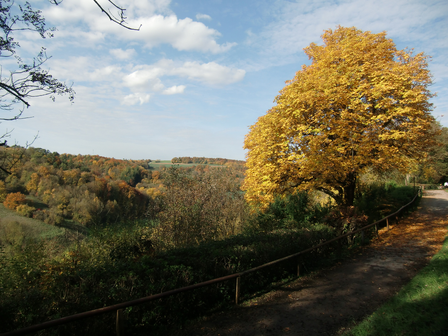 Herbst im Taubertal