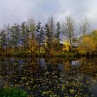 Herbst im Taubertal.