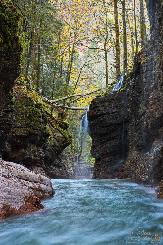 Herbst im Tauglbach