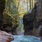 Herbst im Tauglbach