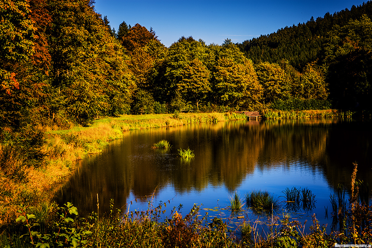 Herbst im Taunus