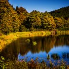 Herbst im Taunus