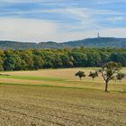 Herbst im Taunus