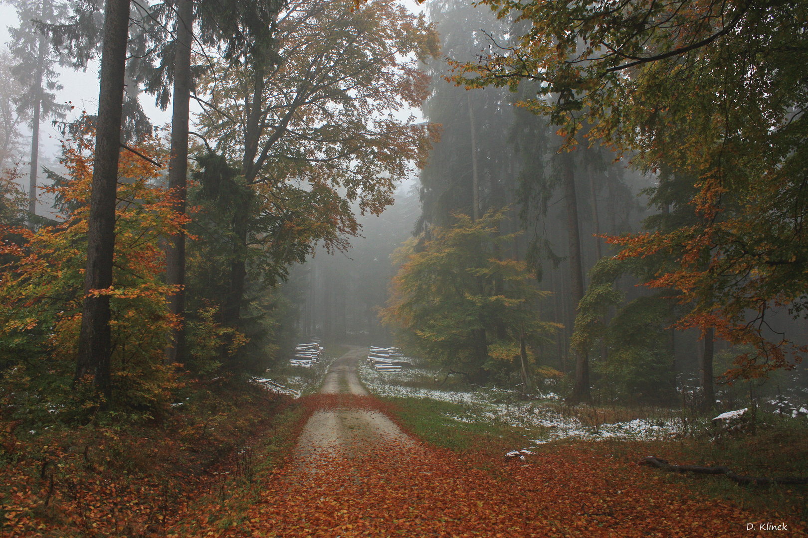 Herbst im Taunus