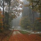 Herbst im Taunus