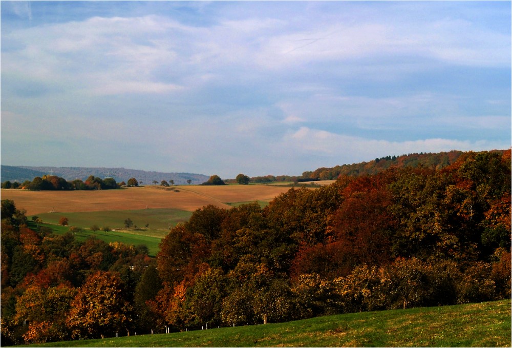 Herbst im Taunus