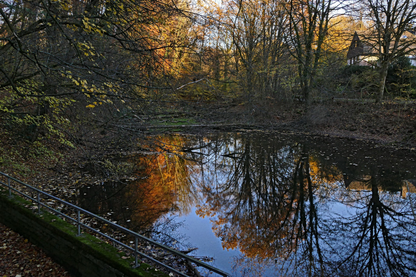 Herbst im Teich Foto & Bild landschaft, bach, fluss & see, natur