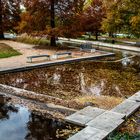 Herbst im Teich 