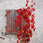 Herbst im Tessin