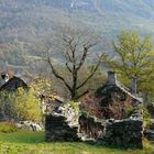 Herbst im Tessin