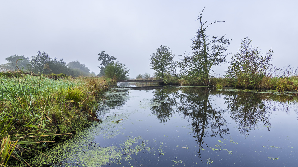 Herbst im Teufelsmoor