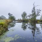 Herbst im Teufelsmoor