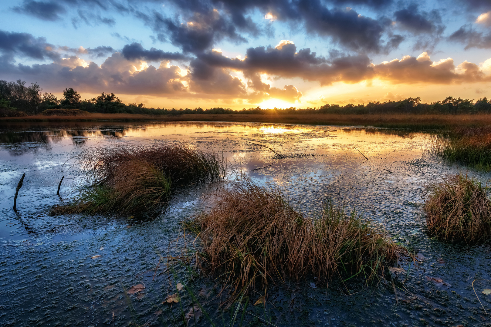 - Herbst im Teufelsmoor -