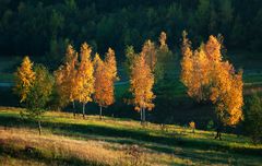 Herbst im Teutoburger Wald