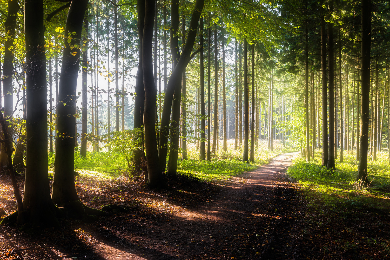 Herbst im Teutoburger Wald