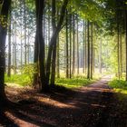 Herbst im Teutoburger Wald