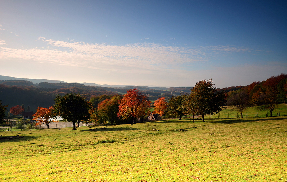 Herbst im Teutoburger Wald