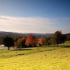 Herbst im Teutoburger Wald