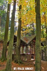 Herbst im Thüringen