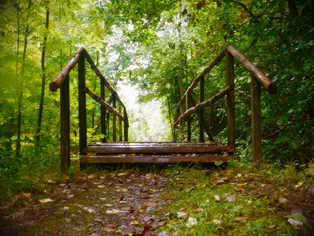 Herbst im Thüringer Wald-3