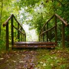 Herbst im Thüringer Wald-3