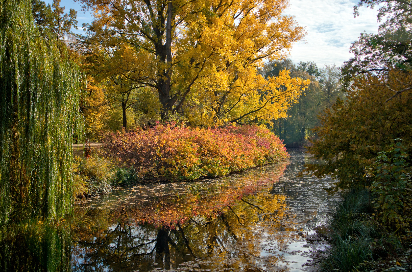 Herbst im Tiergarten (01)